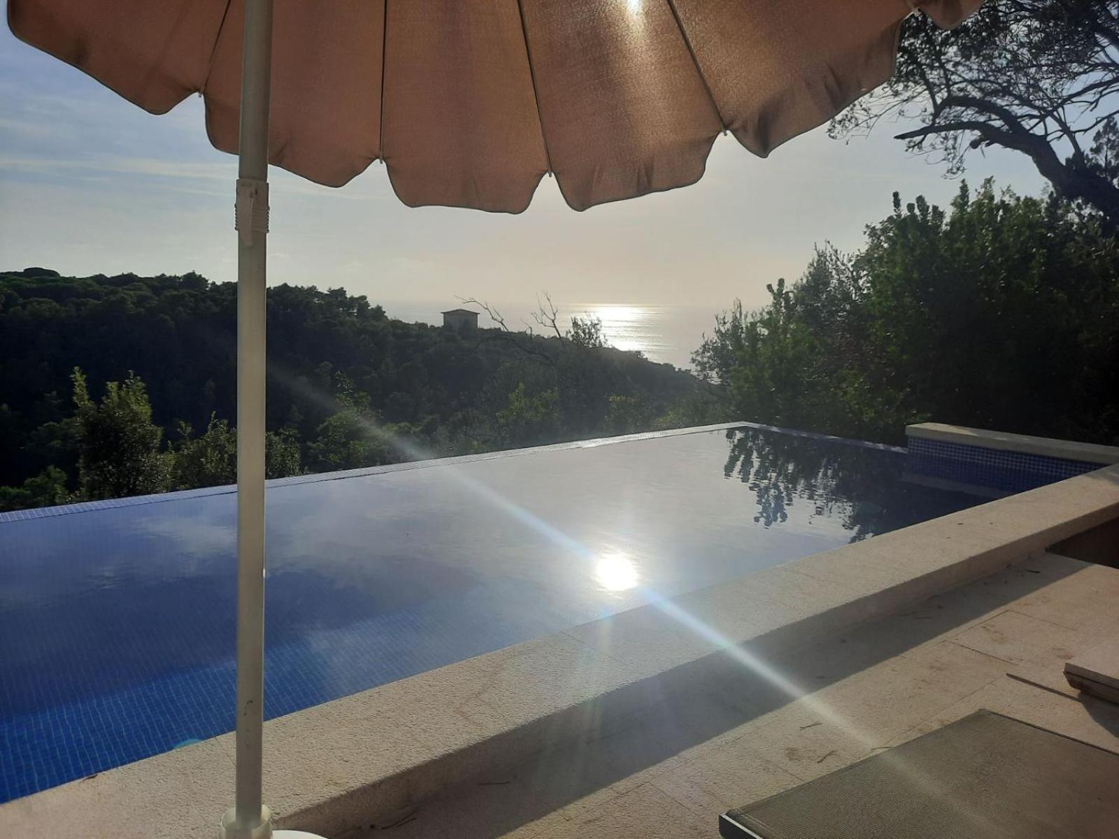 Mongoose Apartment แฮร์เซ็ก-โนวี ภายนอก รูปภาพ
